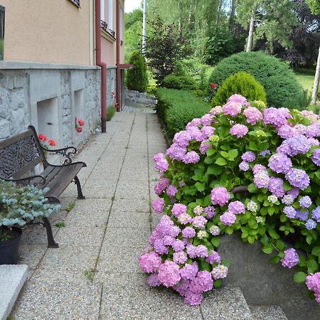 Penzion Ostravanka Hranice  Buitenkant foto