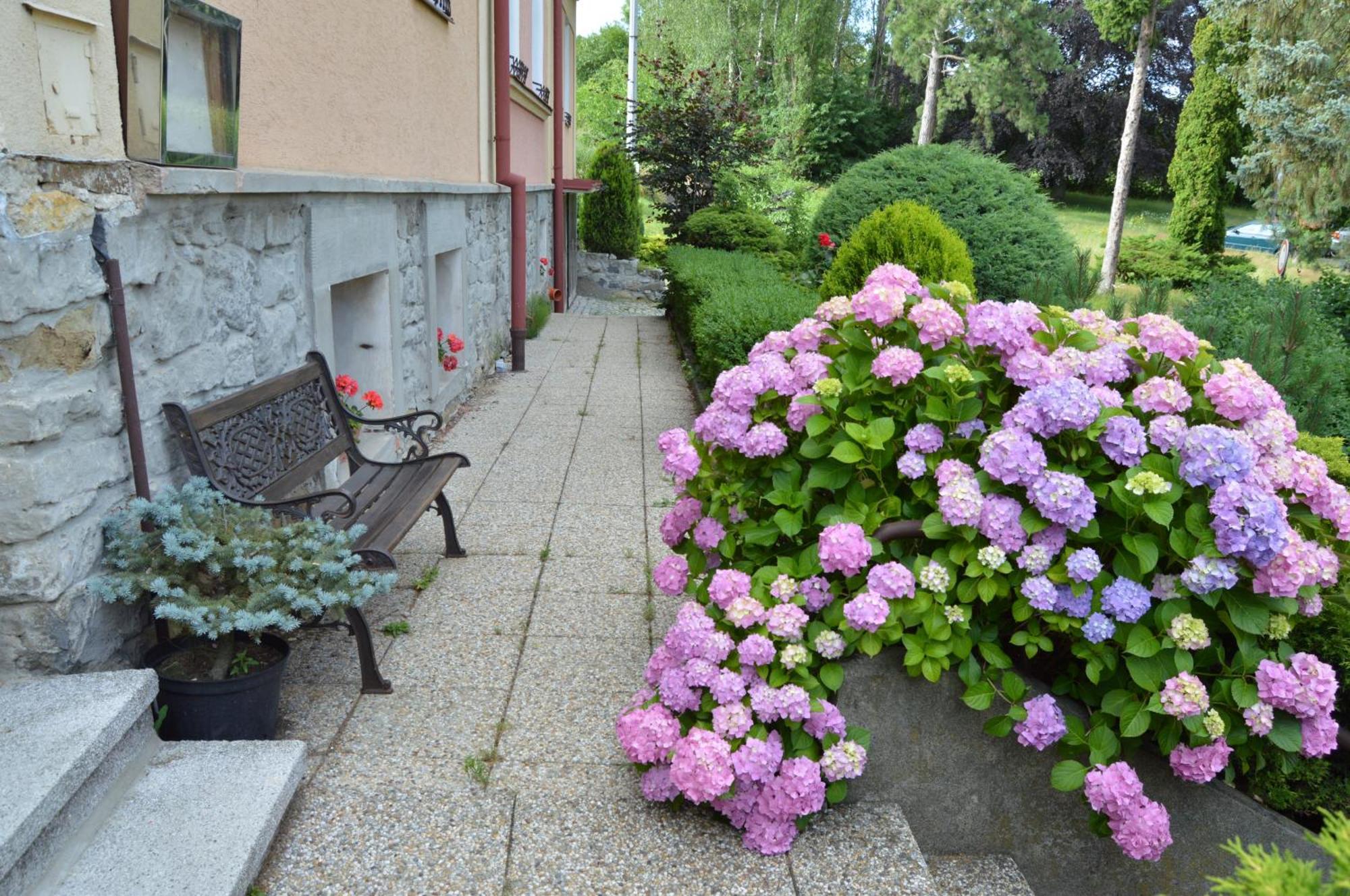 Penzion Ostravanka Hranice  Buitenkant foto